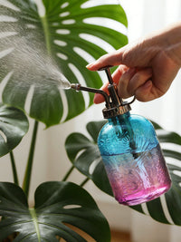 Vintage Thick Glass Plant Mister Spray Bottle for Indoor Plants and Succulents