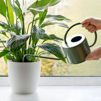 Worth 1L Long Spout Watering Can for Indoor Outdoor Plants