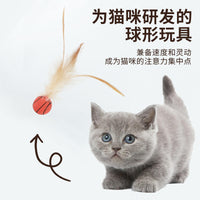 Interactive Feather Cat Toy Ball for Play and Exercise