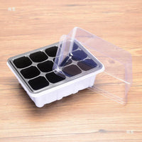 Succulent Seedling Starter Kit with Humidity Dome - 3-Piece Plant Propagation Tray Set