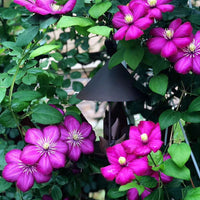 Vintage Iron Birdhouse Feeder Garden Decor Hanging Ornament