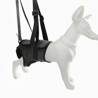 Dog Rear Leg Support Harness for Injured or Elderly Dogs