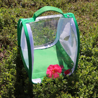Portable Butterfly Habitat Cage for Insect Observation and Metamorphosis