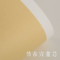 Thickened A4 Xuan Paper Chinese Painting Cardboard Semi-Sized Antique Blank Soft Card for Calligraphy and Painting