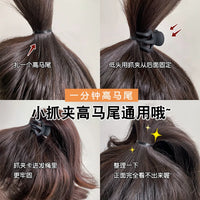 Pumpkin Claw Clip Set for High Ponytails and Buns, Small Hair Clips for Women