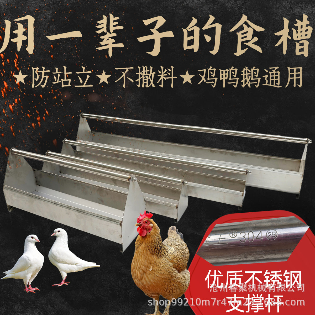 Stainless Steel Poultry Feeder Trough for Pigeons, Chickens, Ducks, Geese - Durable & Anti-Waste Design