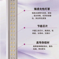 30W T8 LED Grow Light Full Spectrum for Greenhouse Seedling and Plant Growth
