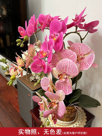Premium Artificial Phalaenopsis Orchid Flower Arrangement
