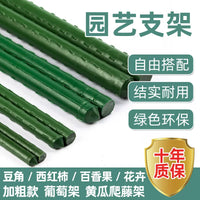 Plant Climbing Support Stakes for Vines, Tomatoes, Roses, and Beans - Coated Steel Pipe Trellis