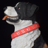 Luminous Pet Collar with Bone & Paw Print Design for Dogs, Glowing Necklace Leash