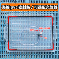 Portable Car Trunk Live Fish Storage Box with Oxygen Tube for Outdoor Fishing and Seafood Transport