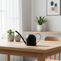 Stainless Steel Long Spout Watering Can for Indoor Plants, 500ml