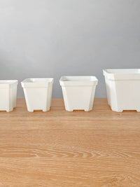 Thickened Square Plastic Succulent Planter Pots for Seedling Propagation