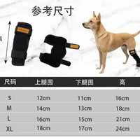 Dog Hock Joint Brace with Adjustable Straps for Support and Injury Recovery