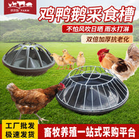 Thickened Poultry Feeder Trough for Chickens, Ducks, Geese, and Pigs, Anti-Flip Design
