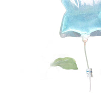 Automatic Drip Irrigation Kit for Potted Plants - Self-Watering System with Adjustable Flow