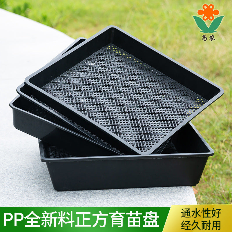Square Succulent Seedling Tray Plastic Plant Pot Organizer