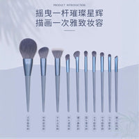 10-Piece Sky Blue Makeup Brush Set with Storage Bag, Ultra-Soft for Beginners, Powder & Blush Application