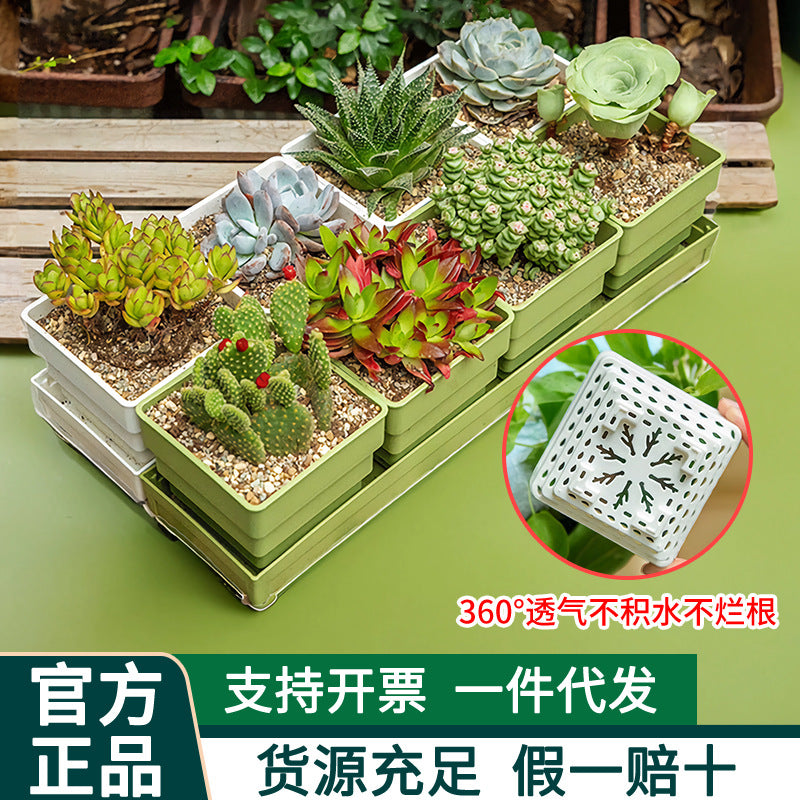 Aimei Succulent Planter Pots with Tray, Thickened Resin Breathable Root Control Plastic Plant Pots