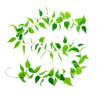 Artificial Greenery Vine for Indoor and Outdoor Decoration