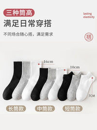 Unisex Mid-Calf Cotton Socks for Spring/Summer - Breathable & Sweat-Absorbent
