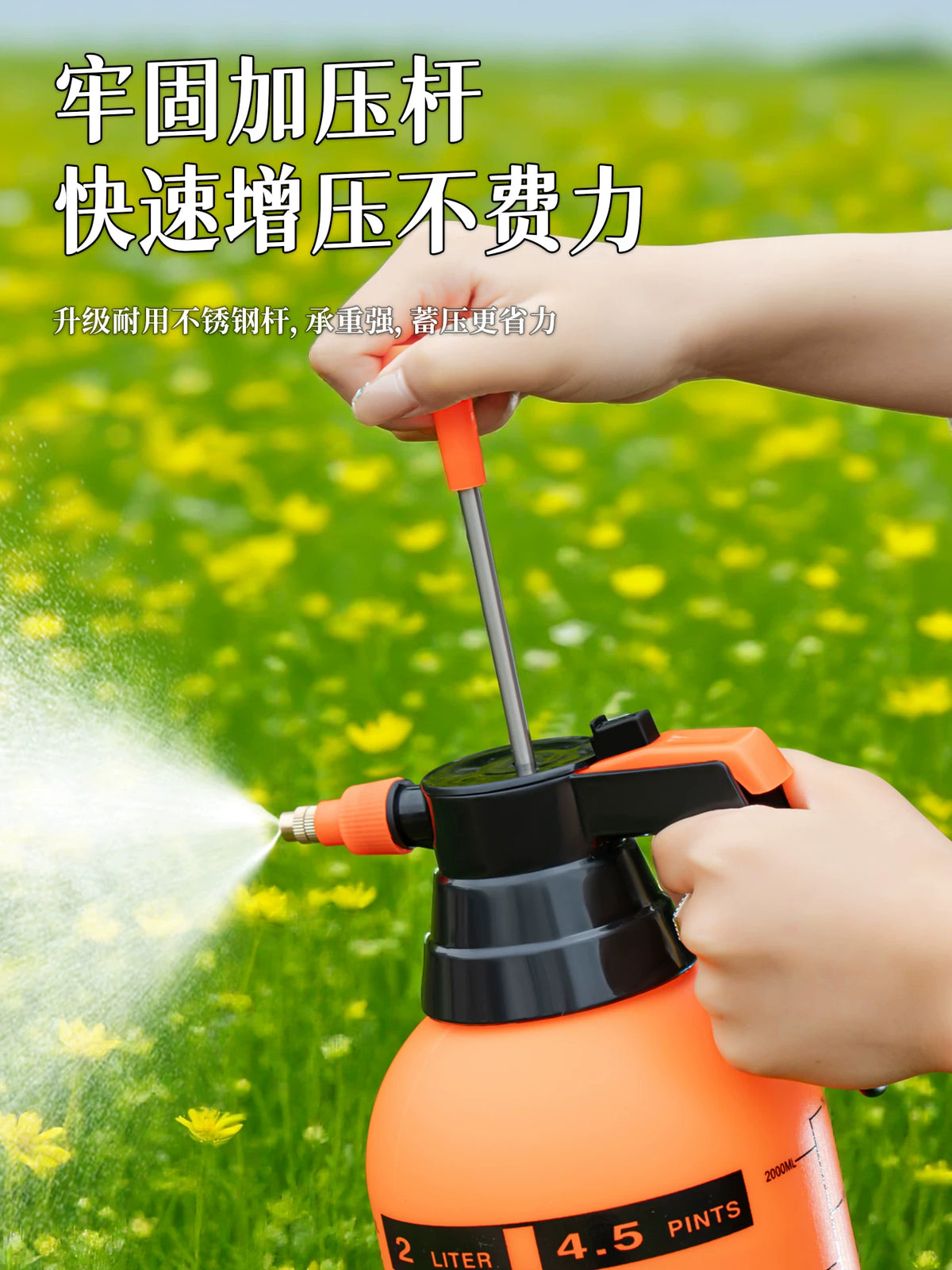 Pressurized Garden Sprayer for Watering and Cleaning, 2L/3L Capacity