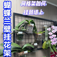 Movable Wall-Mounted Orchid Rack with Hooks, Iron Art Grid Shelf for Balcony Window