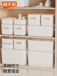Desktop Storage Box with Drawers, Rectangular Plastic Organizer for Cosmetics and Jewelry