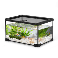 All-Transparent Reptile Terrarium with Ultra-White Glass for Lizards, Turtles, Snakes