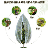 Drawstring Zipper Plant & Fruit Tree Protection Netting Bag for Pest & Bird Control