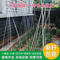 Fiberglass Plant Support Stakes for Climbing Vegetables and Fruits