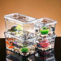 Turtle Habitat Tank with Lid - Clear Plastic Aquarium for Small Reptiles, Fish, and Hermit Crabs