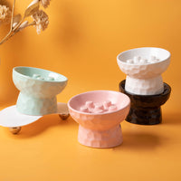 Ceramic Elevated Slow Feeder Pet Bowl for Cats and Small Dogs, Tilted Anti-Vomit Anti-Choke Food Dish