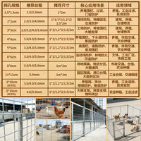 Galvanized Welded Wire Mesh Panel for Fencing, Cages, and Protection, Rust-Resistant