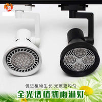 Full Spectrum LED Grow Light for Indoor Plants, Terrariums, and Micro-Landscapes