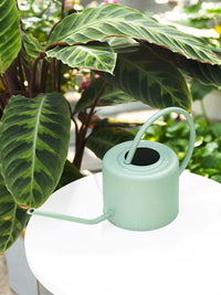 Large Capacity Metal Watering Can with Long Spout for Garden and Indoor Plants