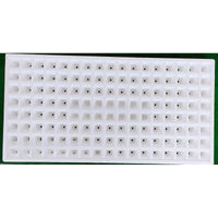 Foam Hydroponic Seedling Trays for Vegetable and Tobacco Cultivation