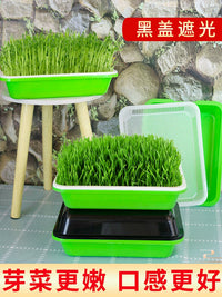 Hydroponic Seed Sprouter Tray Kit for Home Gardening, Soilless Bean Sprout Cultivator with Lid