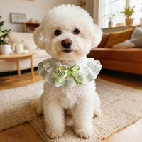 Pet Lace Bow Collar Bib for Cats and Dogs, Plaid Princess Style, Soft Pastel