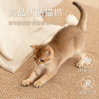 Sisal-like Entrance Doormat Anti-Scratch Cat Mat for Home Entryway
