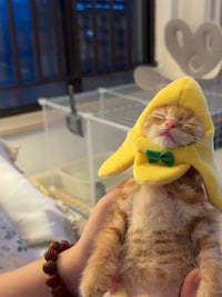Pet Banana Cat Hat Headwear for Small Cats and Puppies Photo Props