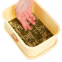 Multi-layer Seed Sprouter Tray Kit for Home Use - Food Grade Bean Sprout Growing System