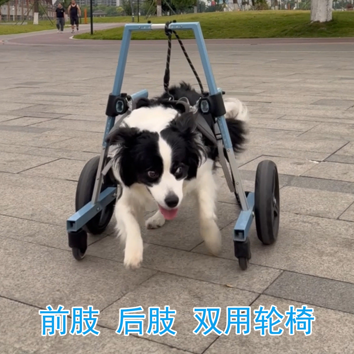Pet Front Limb Wheelchair for Disabled Dogs, Mobility Aid for Injured or Elderly Pets