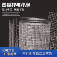 Stainless Steel Welded Wire Mesh for Construction and Plastering, Hot-Dip Galvanized Steel Wire Net