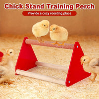 Chick Feeder and Waterer Kit for Small Poultry, Duck, Quail