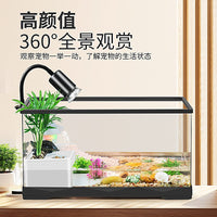 Turtle Tank with Basking Platform and Filter for Small to Medium Reptiles