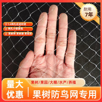 Nylon Anti-Bird Netting for Fruit Trees, Vineyards, and Gardens - 1.6cm Mesh
