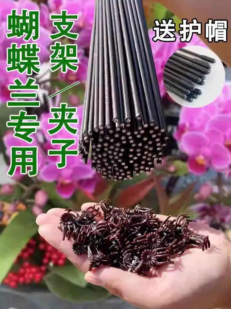 Orchid Plant Support Stakes with Clips for Climbing Vines and Flowers