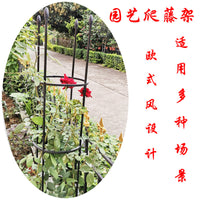 European Style Rose Climbing Trellis for Potted Plants and Garden Vines