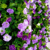 Colorful Eucalyptus and Gypsophila Wreath for Spring/Summer Door Decor